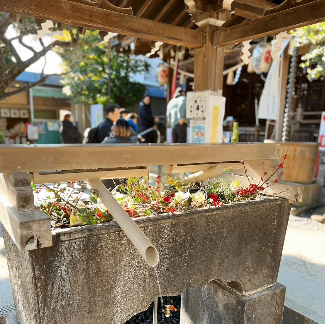 あけましておめでとうございます🎍